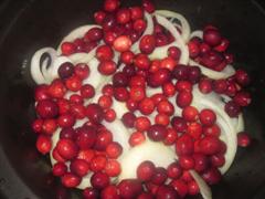 onion and cranberry