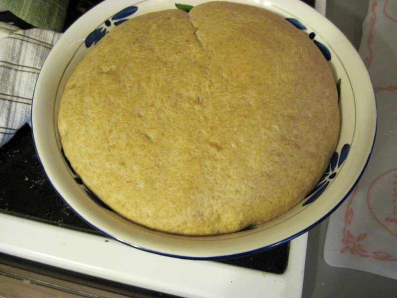 Whole Wheat Bread Bowls