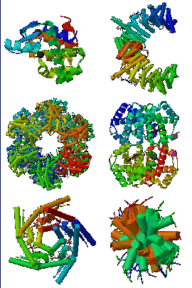 Creation: Various Proteins