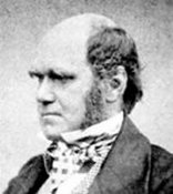 Creation: Charles Darwin-age 51