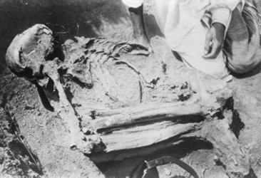 Creation: Reck's Find in Olduvai Gorge