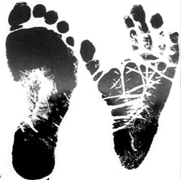 Creation: Human foot and ape foot