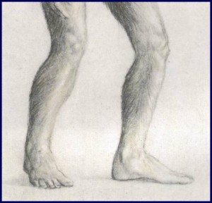 Creation: Lucy -- Textbook foot long evolutionary fraud