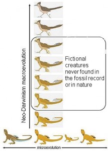 Creation: Neo-Darwinism Macro-Evolution Fictional Creatures