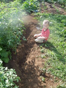 Monday-dug up garden