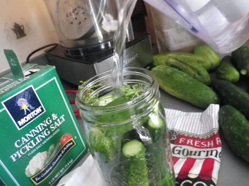 Cold Packed Cucumber Dill Pickles