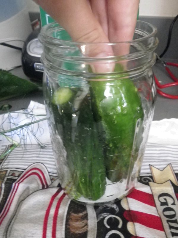 Cold Packed Cucumber Dill Pickles