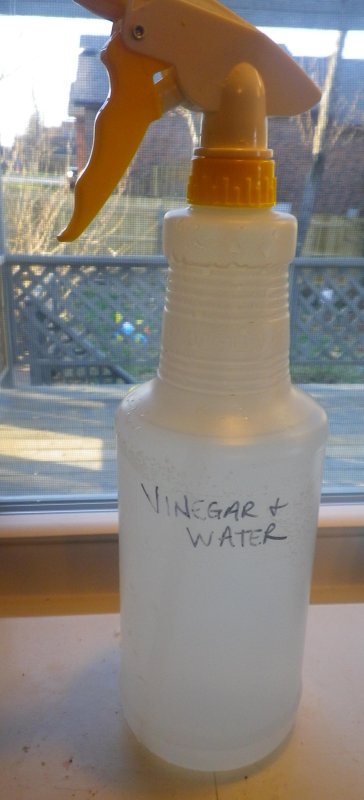 Cleaning with Vinegar