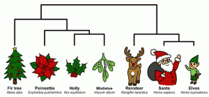 Christmas Evolution